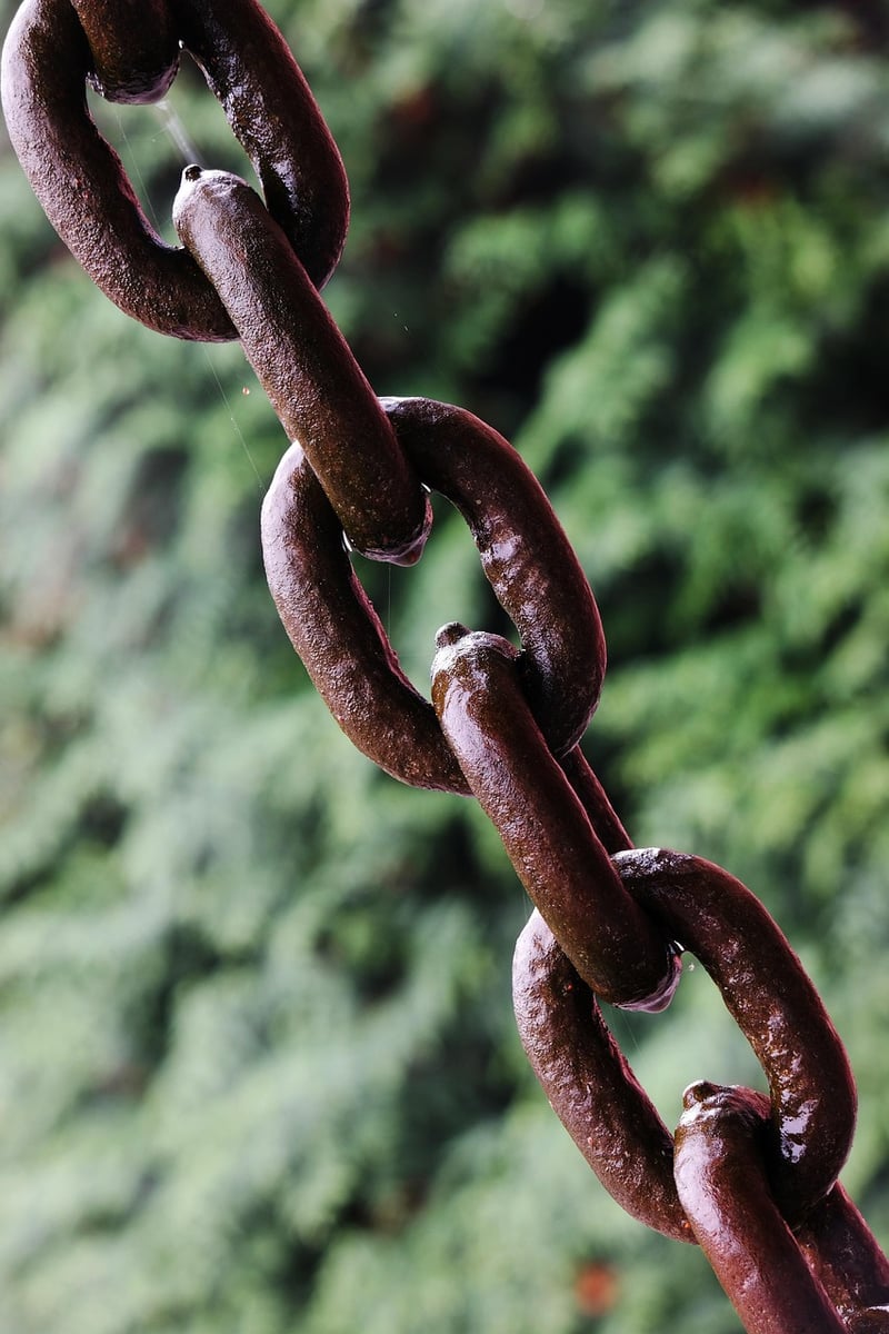 Blockchain Network